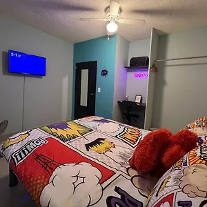 Dici Co-living Housing Bed and breakfast Cabo San Lucas